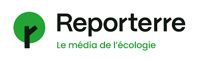 Logo média