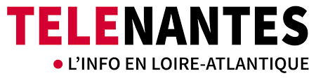Logo média